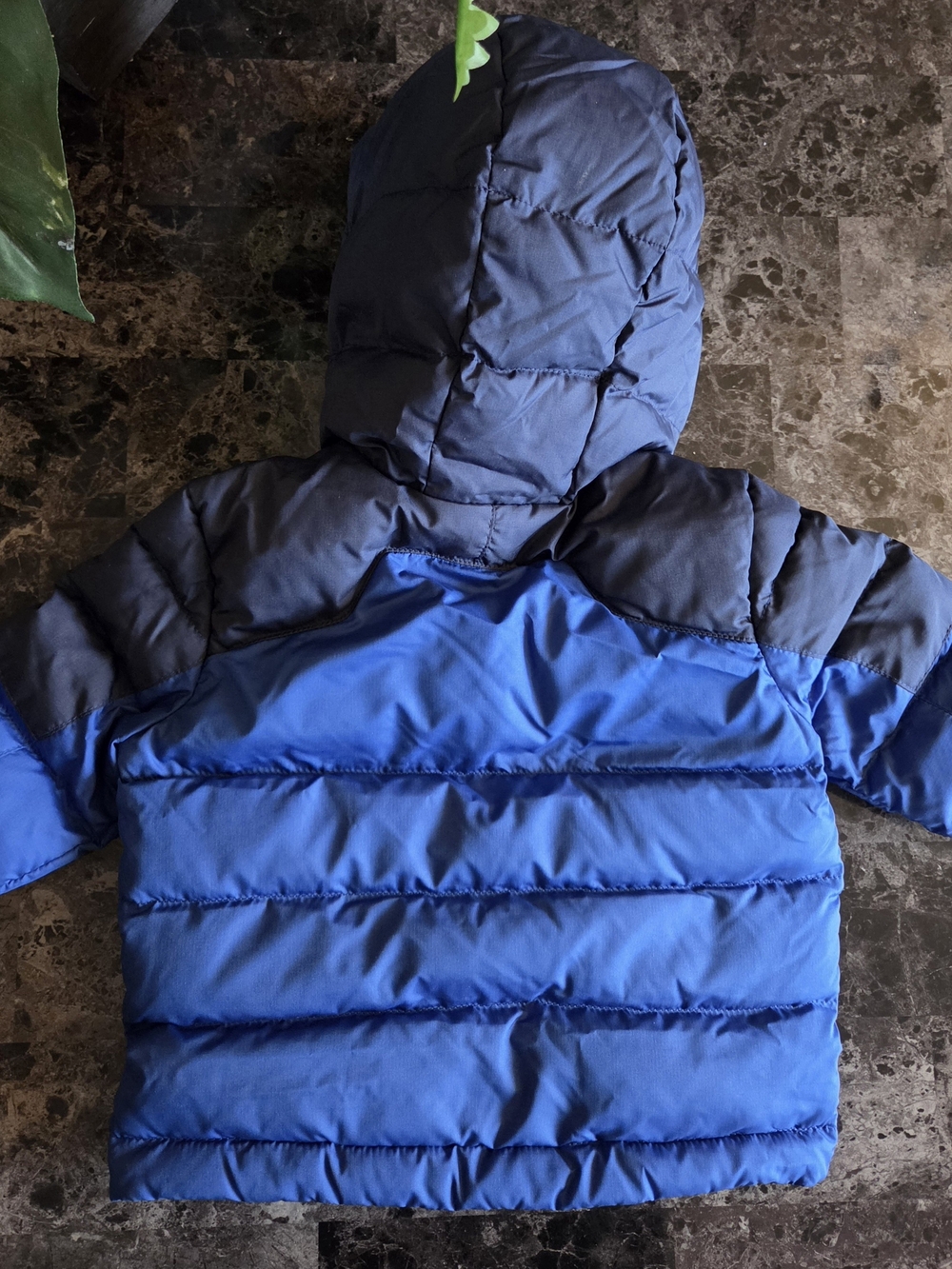 Ralph Lauren Navy and Royal Blue Hooded Puffer Jacket for Kids - Picture 2 of 3
